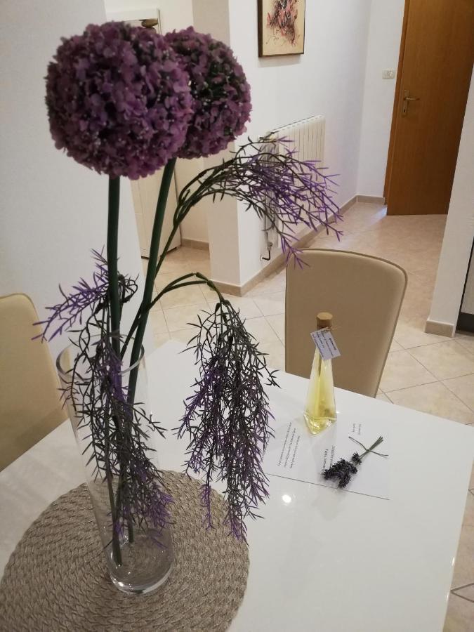 Apartman Doli Nedeščina Exterior foto